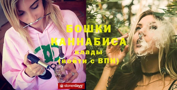 бошки Алексин