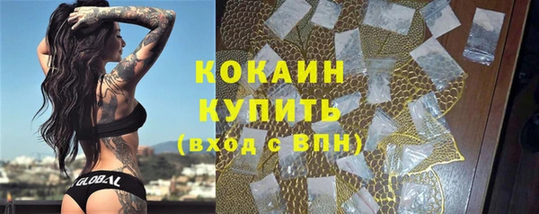 бошки Алексин