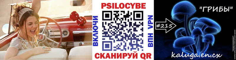 нарко площадка какой сайт  Чистополь  Псилоцибиновые грибы MAGIC MUSHROOMS  kraken онион 